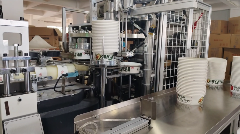 Disposable paper bowl manufacturing process including printing, forming, leak testing, and packing