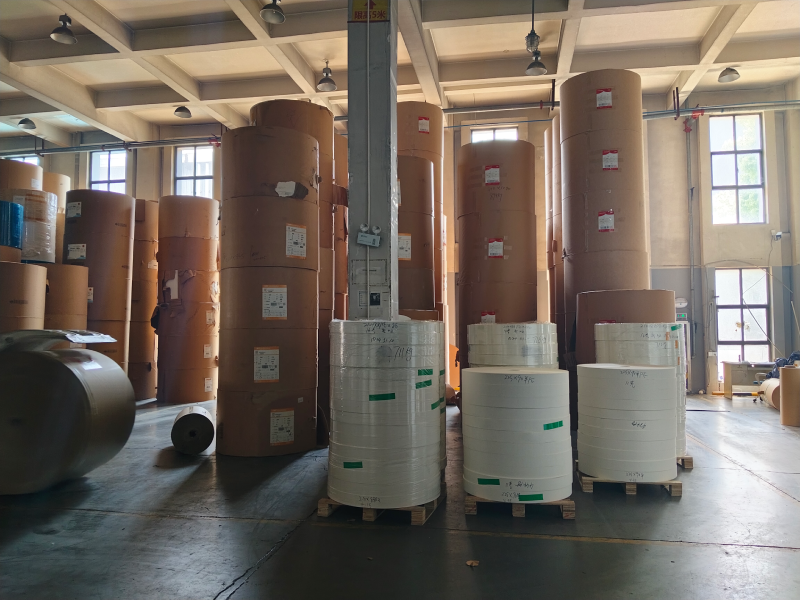 Various paper materials and structures used in disposable paper cup manufacturing.
